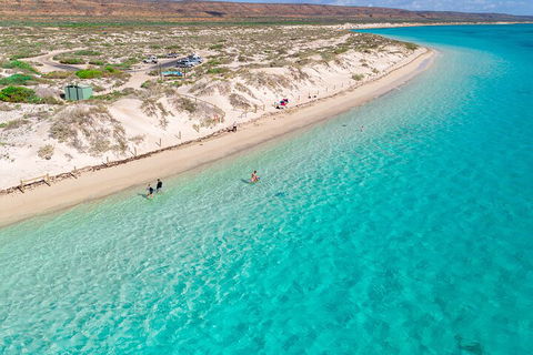 Ningaloo In A Day - Full Day Hike And Snorkel Tour With Lunch - Tourism Gold Coast 0