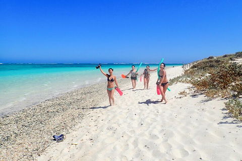 Ningaloo In A Day - Full Day Hike And Snorkel Tour With Lunch - Tourism Gold Coast 1