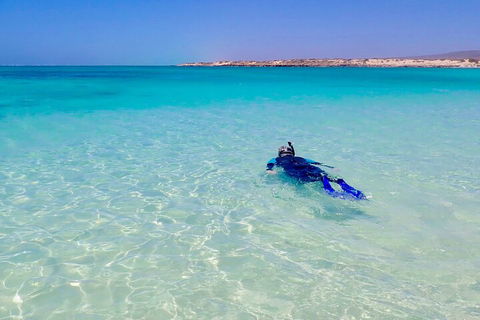 Ningaloo In A Day - Full Day Hike And Snorkel Tour With Lunch - Tourism Gold Coast 4
