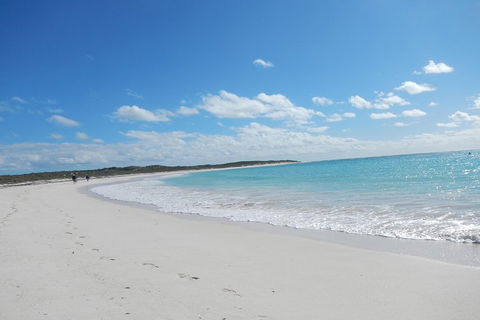 Shipwreck Special Nature Tour/Half Day Tour - Tourism Gold Coast 0