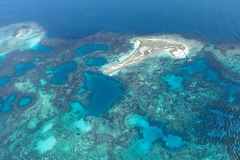 Shipwreck Special Nature Tour/Half Day Tour - Tourism Gold Coast 5
