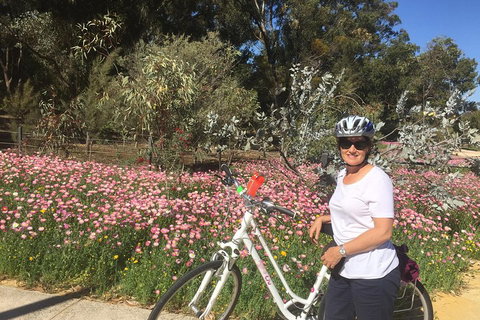 Perth Bike Tour - Beautiful Matilda Bay And Kings Park - Tourism Gold Coast 1