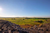 Kakadu Nourlangie and Yellow Waters Tour from Darwin