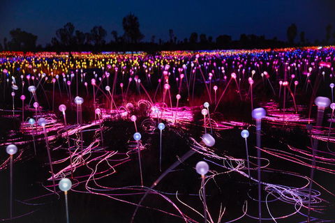 Uluru (Ayers Rock) Field Of Light Sunrise Tour - Tourism Gold Coast 1