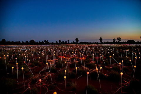 Uluru (Ayers Rock) Field Of Light Sunrise Tour - Tourism Gold Coast 4