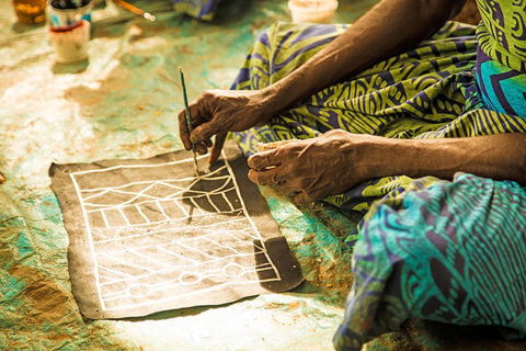 Tiwi Islands Cultural Experience From Darwin Including Ferry - Tourism Gold Coast 1
