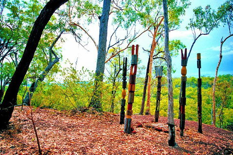 Tiwi Islands Cultural Experience From Darwin Including Ferry - Tourism Gold Coast 3