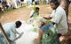 Tiwi Islands Cultural Experience From Darwin Including Ferry - thumb 4