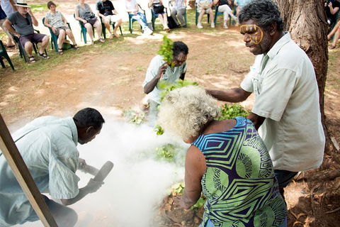 Tiwi Islands Cultural Experience From Darwin Including Ferry - Tourism Gold Coast 4