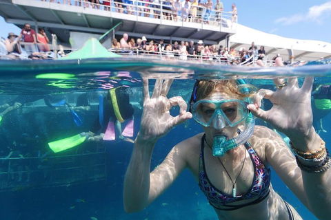 Great Barrier Reef Day Cruise From Cairns Including Snorkeling And Marine Biologist Presentation - Gold Coast 0