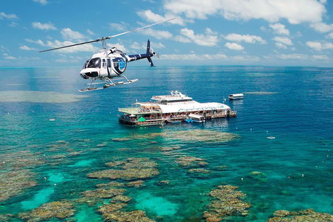 Great Barrier Reef Day Cruise From Cairns Including Snorkeling And Marine Biologist Presentation - Gold Coast 5