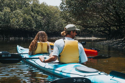 Kayak Tour In Adelaide Dolphin Sanctuary - Tourism Gold Coast 2