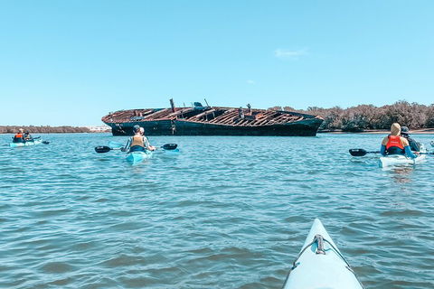 Kayak Tour In Adelaide Dolphin Sanctuary - Tourism Gold Coast 3
