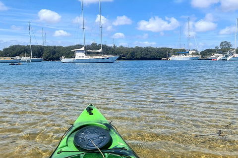 Kayak Tour In Adelaide Dolphin Sanctuary - Tourism Gold Coast 4