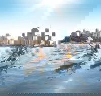 Brisbane Kayak Tour - Tourism Gold Coast