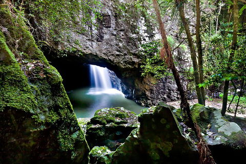 Natural Bridge & Springbrook Waterfalls Tour + Hot Air Balloon With Breakfast - Tourism Gold Coast 4