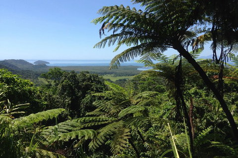 Daintree And Cape Tribulation Full Day Guided Tour - Gold Coast 2