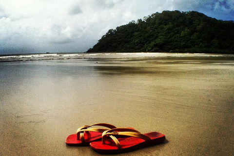 Daintree And Cape Tribulation Full Day Guided Tour - Gold Coast 4