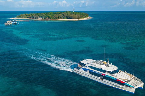 Ultimate 3-Day Great Barrier Reef Cruise Pass - Tourism Gold Coast 4