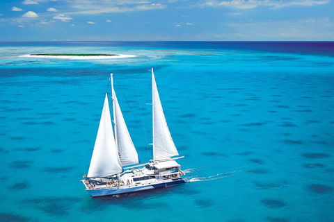 Ultimate 3-Day Great Barrier Reef Cruise Pass - Tourism Gold Coast 5