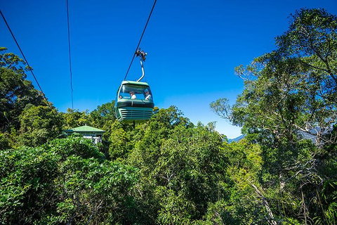 Skyrail Rainforest Cableway Day Trip From Cairns - Tourism Gold Coast 1