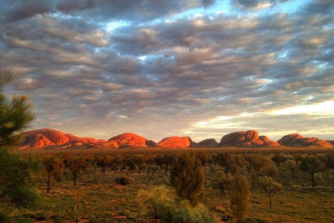 5-Hour Kata Tjuta Sunrise Tour From Ayers Rock With Breakfast - Tourism Gold Coast 1