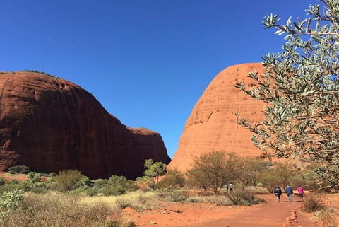 5-Hour Kata Tjuta Sunrise Tour From Ayers Rock With Breakfast - Tourism Gold Coast 4