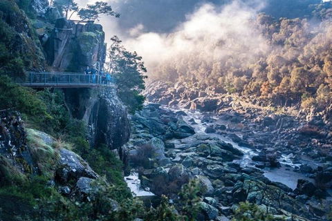 3.5 Hours Walking Tour To Cataract Gorge With Local Guide - Gold Coast 1
