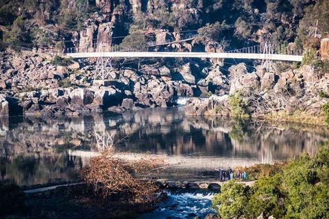 3.5 Hours Walking Tour To Cataract Gorge With Local Guide - Gold Coast 3