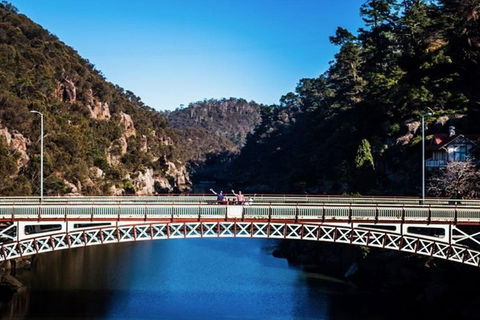 3.5 Hours Walking Tour To Cataract Gorge With Local Guide - Gold Coast 4