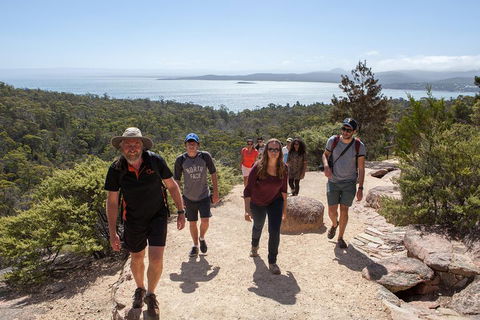 3-Day Tasmania Combo: Launceston To Hobart Active Tour Including Cradle Mountain, Freycinet National Park And Port Arthur - Gold Coast 5