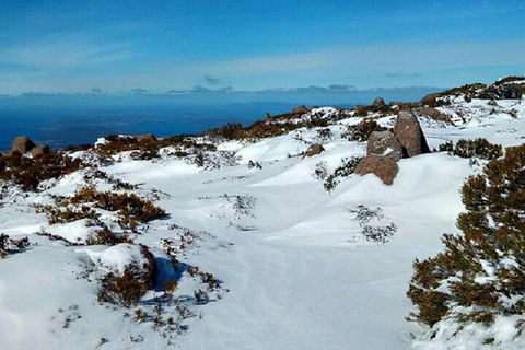 Mt Wellington Ultimate Experience Tour From Hobart - Tourism Gold Coast 4