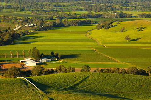 Full-Day Wine World Tour In Barossa - Tourism Gold Coast 2