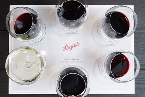 Full-Day Wine World Tour In Barossa - Tourism Gold Coast 5