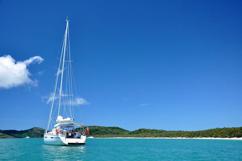 Sailing Curlew Escape On Moreton Bay - Tourism Gold Coast 5