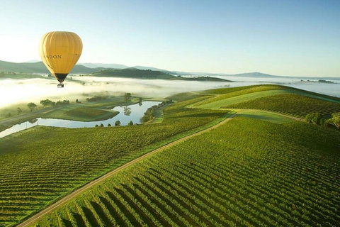 Half-Day Or Full-Day Tour With Private Guide From Melbourne - Gold Coast 4