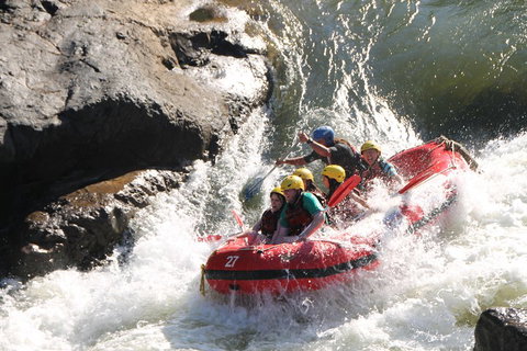 Barron Gorge National Park Half-Day White Water Rafting From Cairns Or Port Douglas - Gold Coast 2
