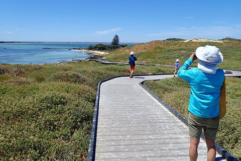 Penguin And Seal Islands Sea Kayaking Experience - Tourism Gold Coast 1