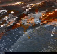 One Day Litchfield Park Adventures - Gold Coast