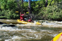 Book Viator Accommodation Vacations Tourism Gold Coast Tourism Gold Coast