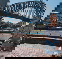 Sydney Private Tours by Locals 100 Personalized See the City Unscripted - Tourism Gold Coast