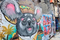 See Melbourne With A Local Private  Personalized