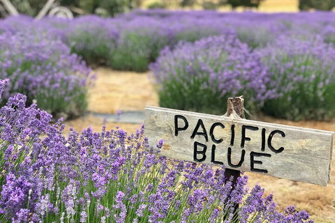 Kangaroo Island Half Day Food And Wine Trail Tour - Tourism Gold Coast 5
