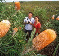 Best of Perth Wildflower Season Day Trip - Tourism Gold Coast