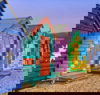 Phillip Island Penguin Brighton Beach Moonlit Sanctuary from Melbourne - Tourism Gold Coast