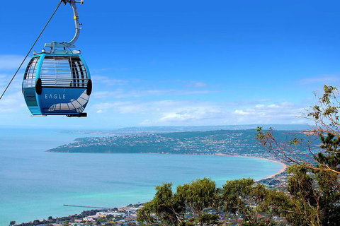 Peninsula Hot Springs Tour With Restaurant Lunch & Gondola Ride - Tourism Gold Coast 1