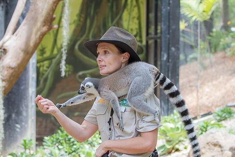Currumbin Wildlife Sanctuary General Entry Ticket - Tourism Gold Coast 1