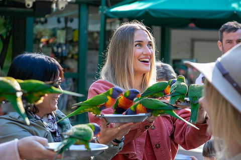 Currumbin Wildlife Sanctuary General Entry Ticket - Tourism Gold Coast 3