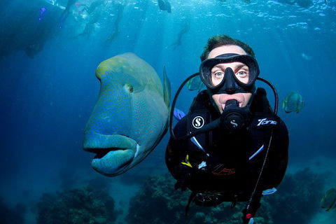 Full Day Reef Cruise Including 10 Minute Heli Scenic Flight: Get High Package - Gold Coast 1