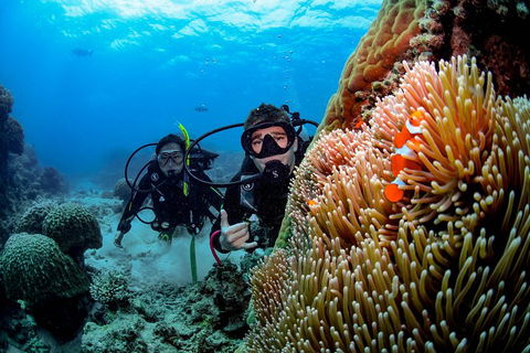 Full Day Reef Cruise Including 10 Minute Heli Scenic Flight: Get High Package - Gold Coast 5